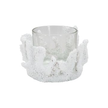 P/CAND CORALLO CM Ø 12,5X9 MIN 2